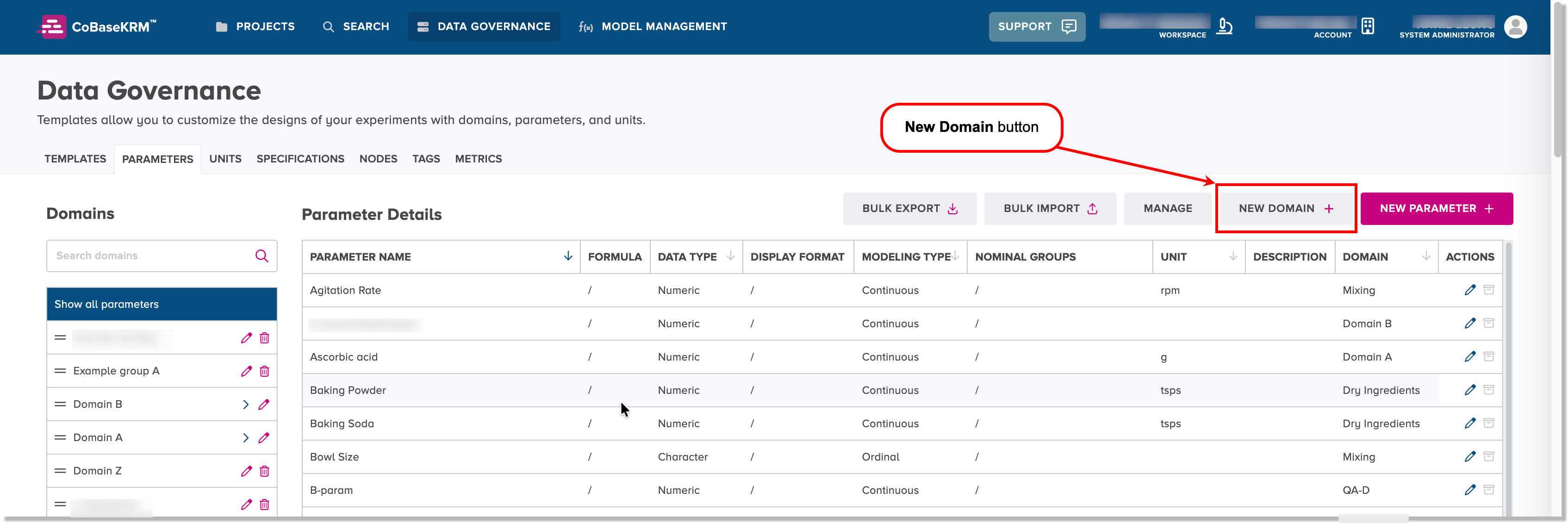New Domain button on the Data Governance - Parameters tab