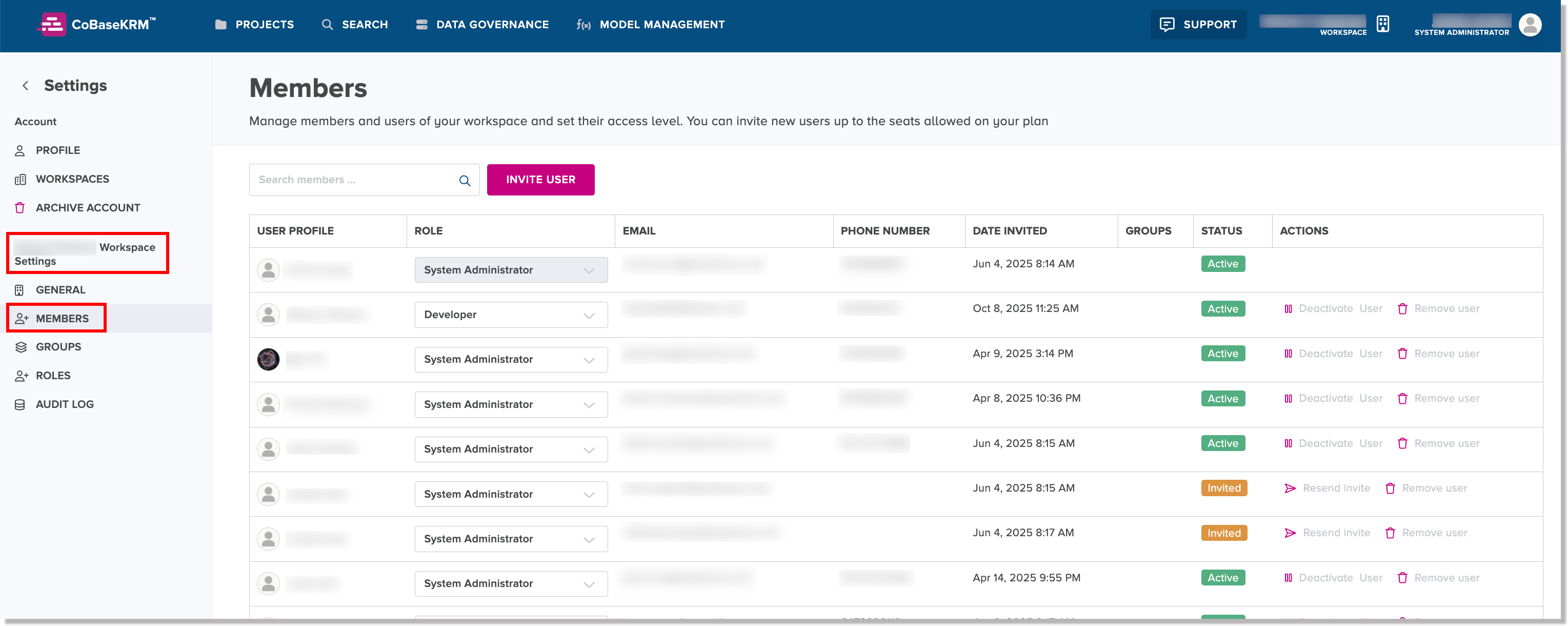 Members tab of the Workspace Settings view