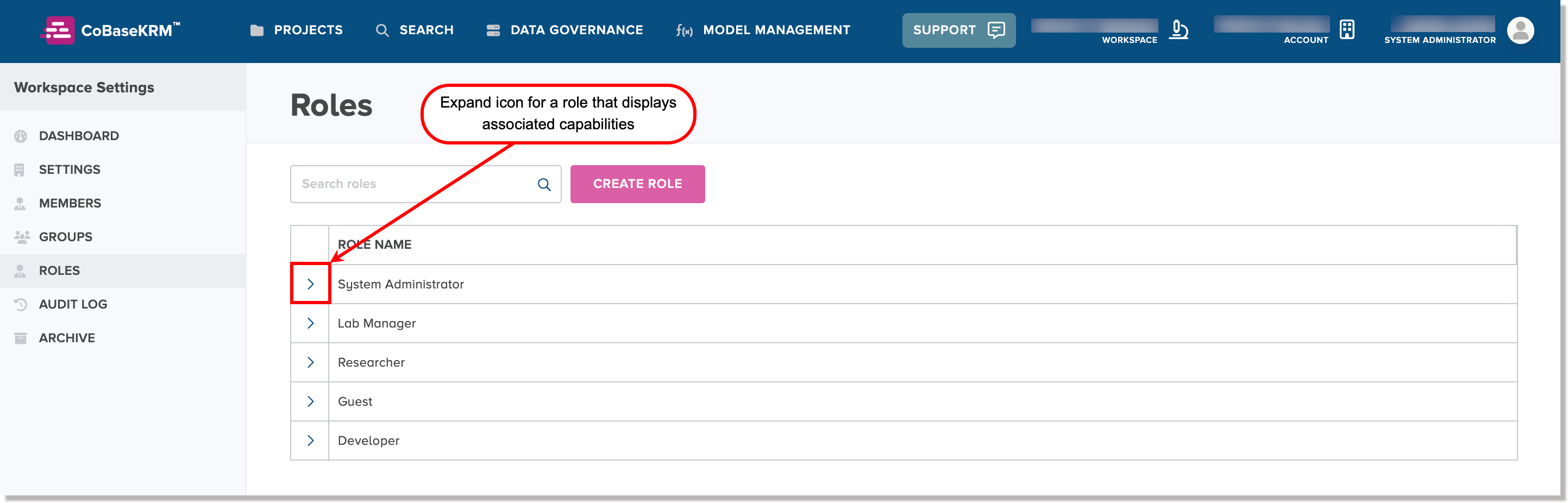 Expand icon in the accordion panel for a role