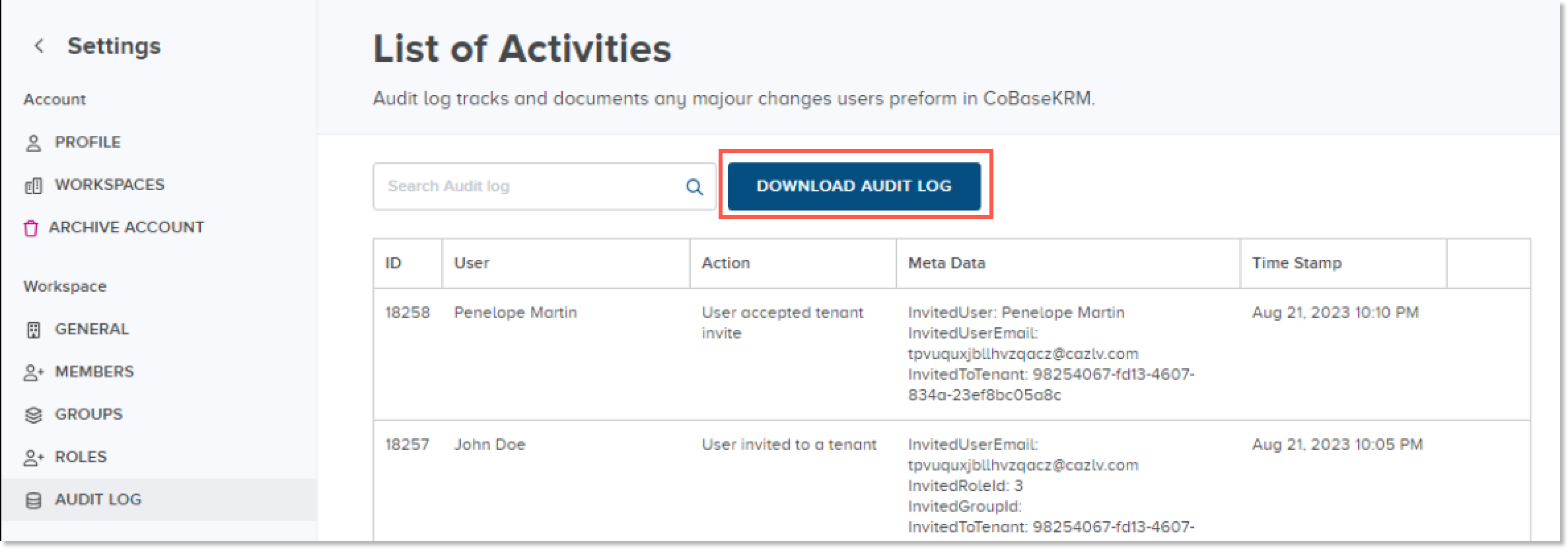 Download Audit Log button