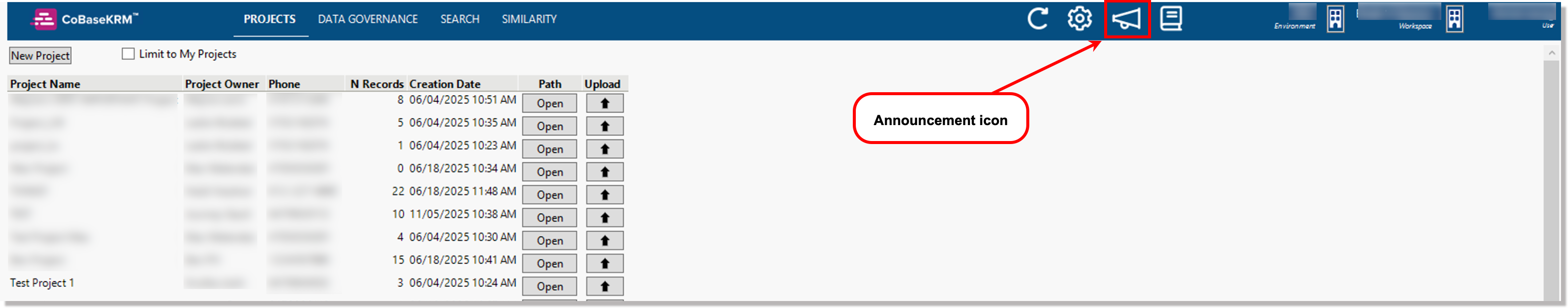 Announcement icon
