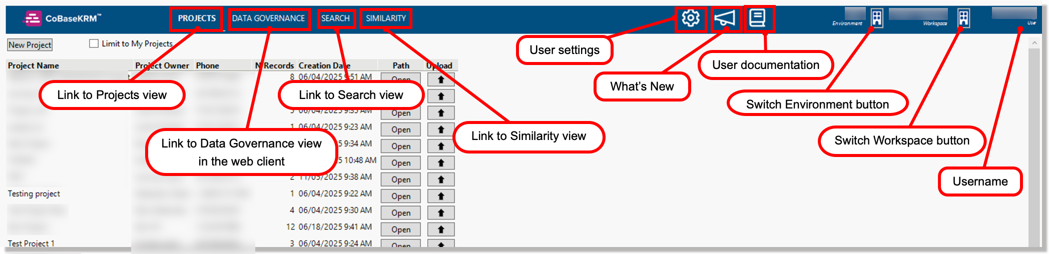 Menu bar of the JMP add-in for CoBaseKRM