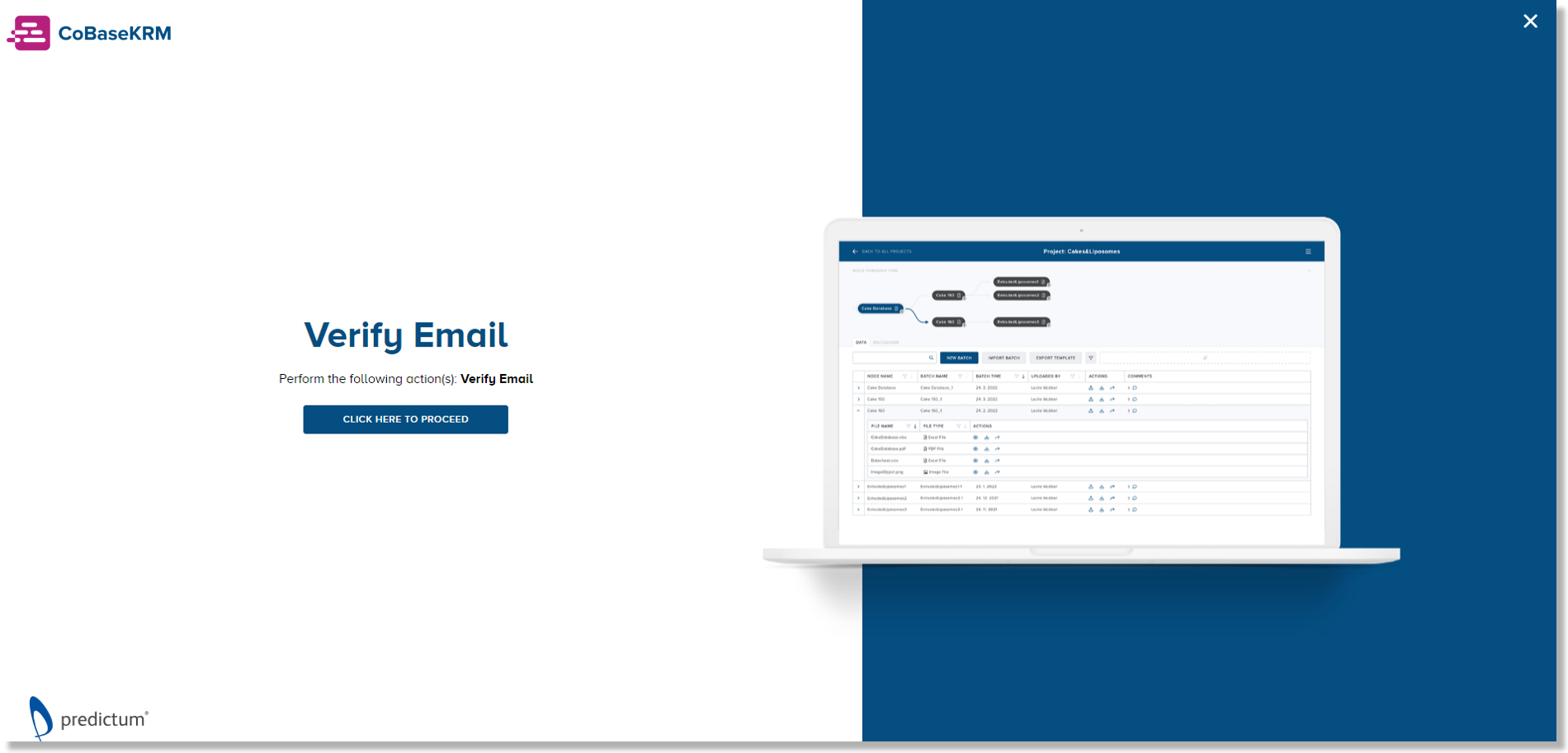 Verify Email dialog