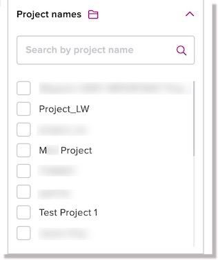 Project name filters for models