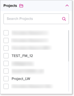 Projects panel box for defining model filters