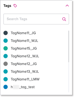 Tags panel box for defining model filters