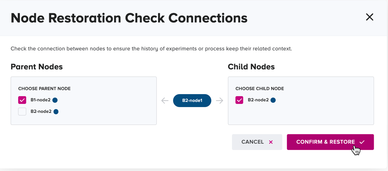 Node Restoration Check Connections dialog