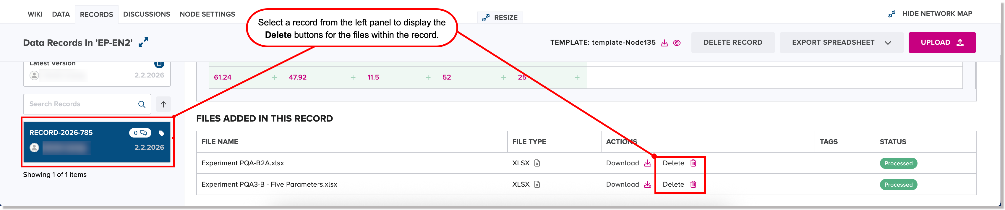 Selected record in left panel displays Delete buttons for files within record
